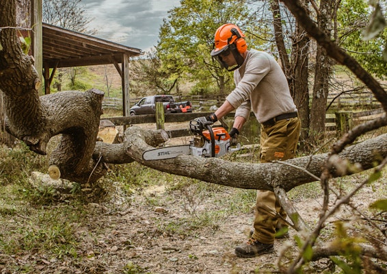 man using STIHL storm chainsaw to cut fallen tree branch
