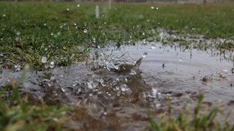 splash in wet lawn