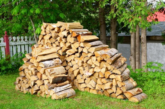 Stack of Firewood 