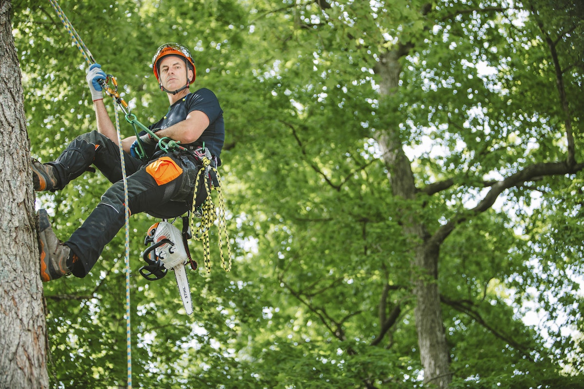 Tree Climbing and Rigging | How to Climg & Rig a Tree | STIHL USA