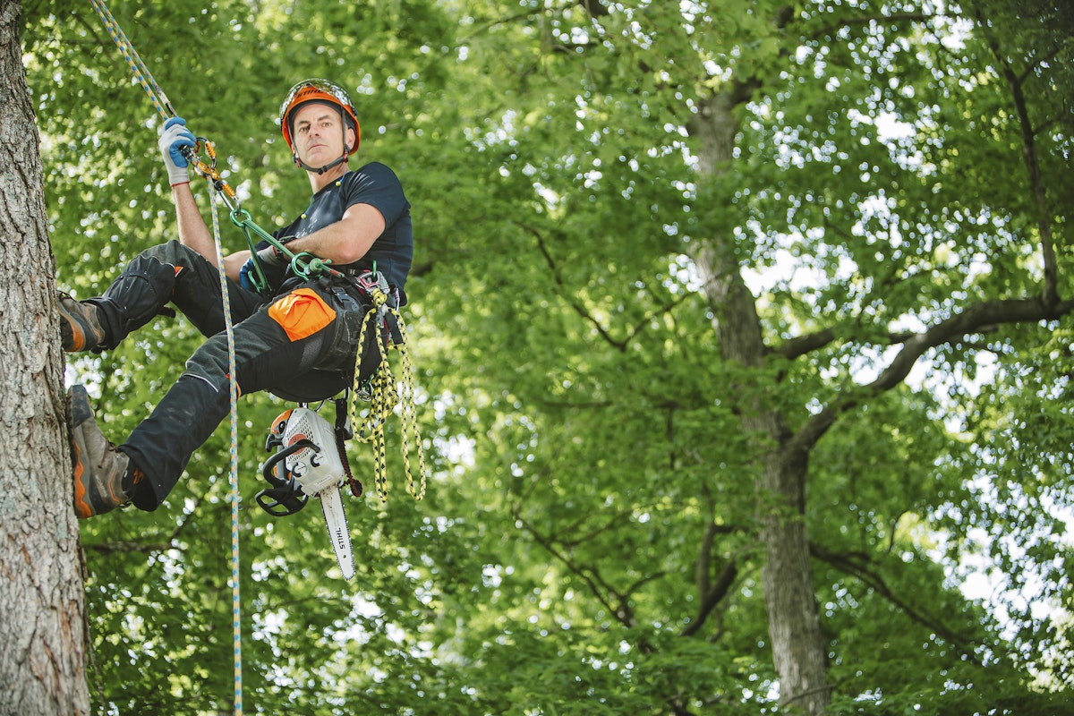 SRT Tree Climbing Kit: Everything You Need to Get Started Climbing