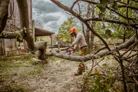 Man using MS 261 C-MQ on a fallen tree near a barn. 