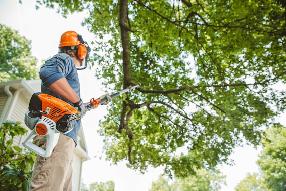 Man trimming limbs on a tree using a HT 103 Pole Pruner.