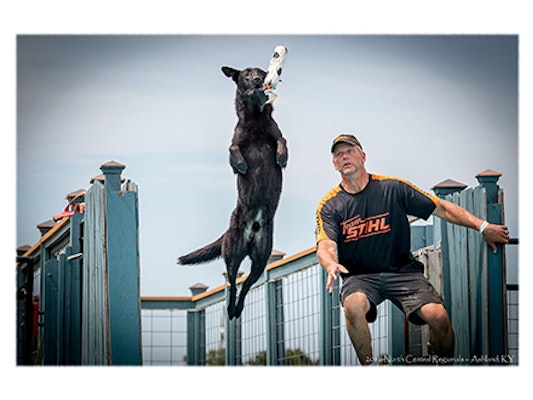 Tom Dropik intensely watching as a black dog jumps off the dock to retrieve a toy