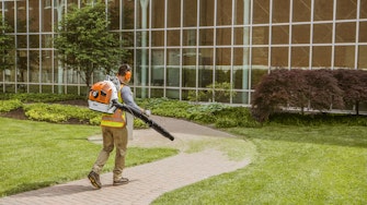 BR600 Backpack Blower being used to blow grass