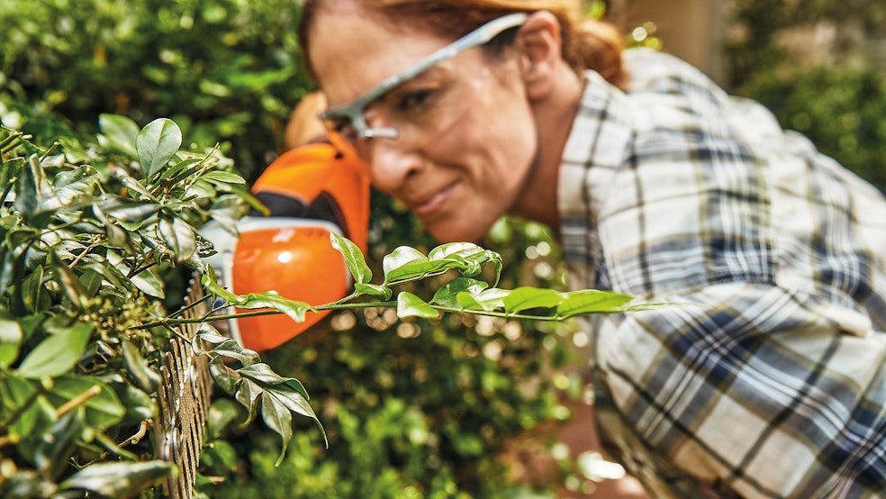 Close up of woman using the HSA 26 on a hedge in a garden.