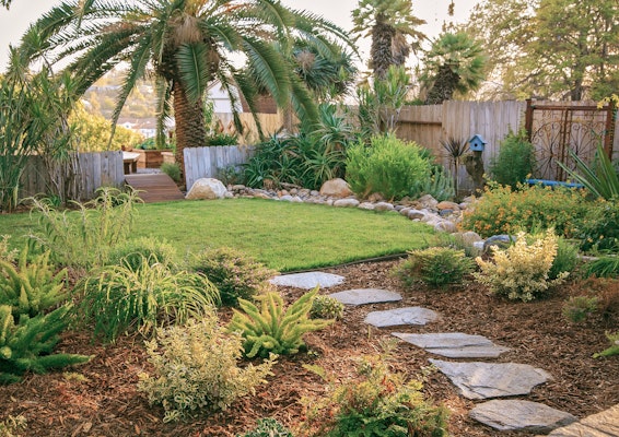 Garden Path in backyard 