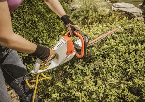 Woman using electric hedge trimmer to trim hedges