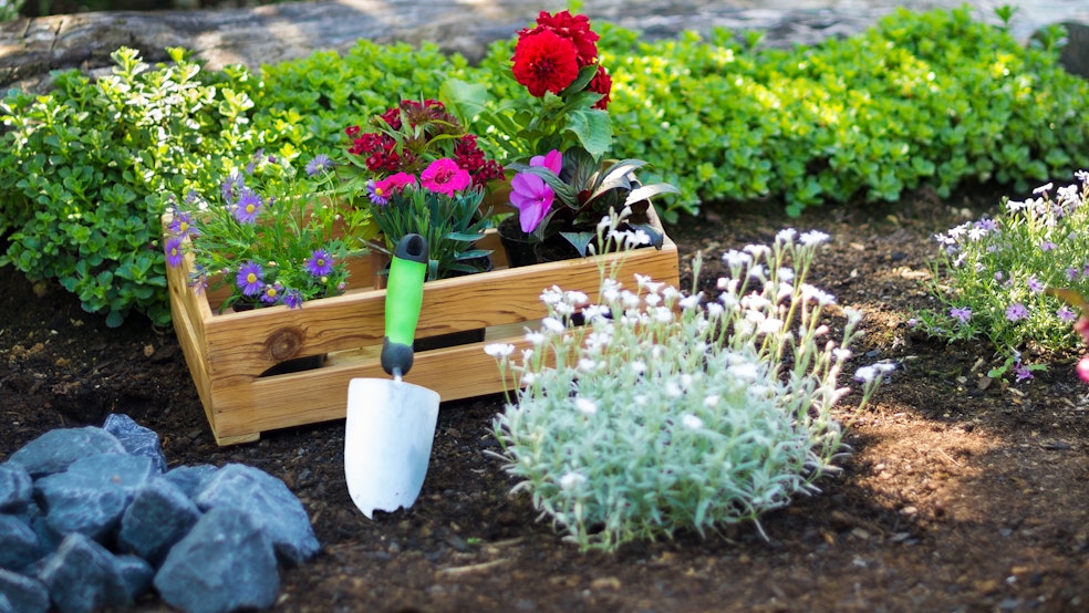 How to Plant Flowers | Guides & Projects | STIHL USA