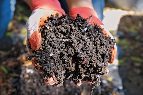 Dirt with worms