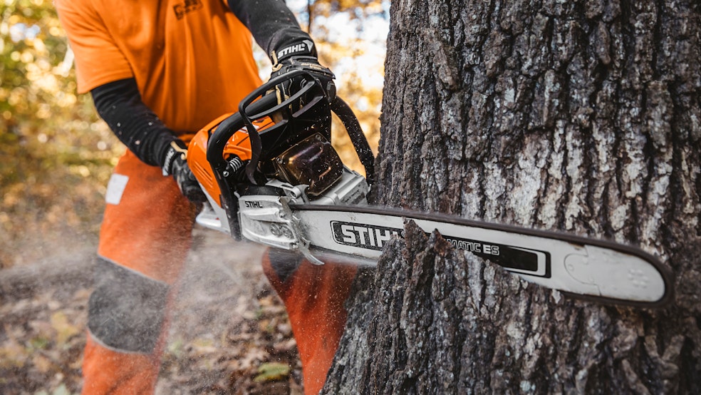 MS500i chainsaw cutting through a tree trunk