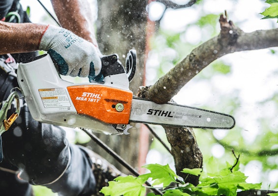 MSA161 chainsaw sawing through tree branch