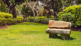 Rustic garden bench