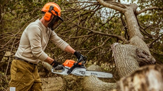 MS261 Chainsaw