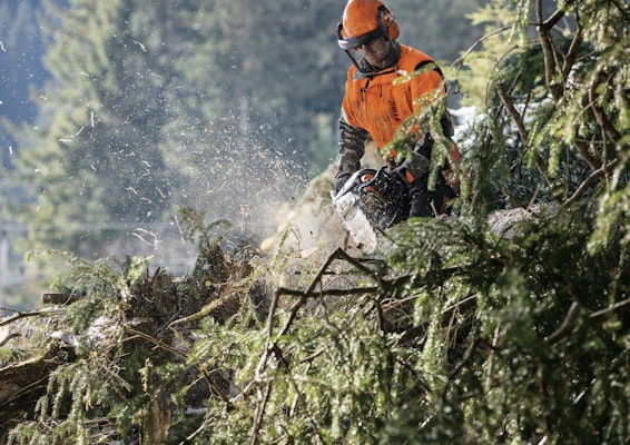 Man using chainsaw to trim limbs on downed tree