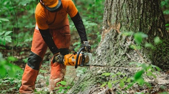 MS 500iR being used to cut tree