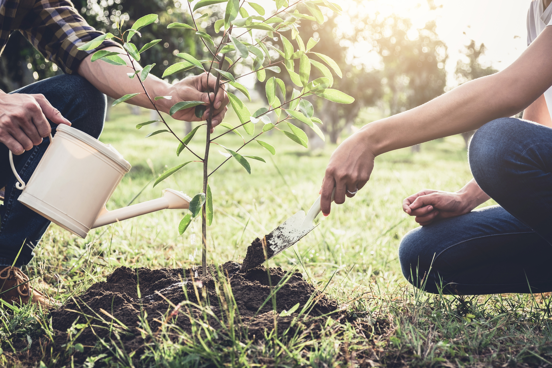 STIHL How-To Guides, Videos, Articles, and More | STIHL USA