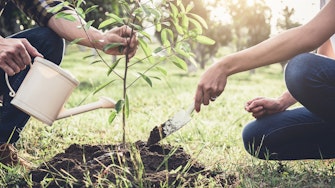 A couple using a shovel and watering can to plant a new tree in the grass.