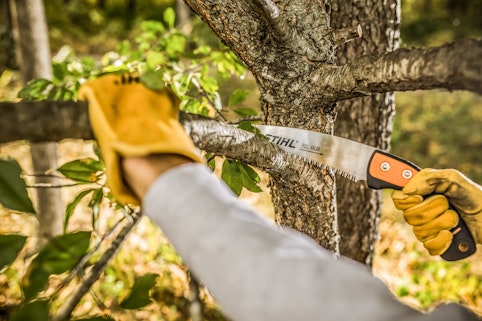 Hand Pruning Saws