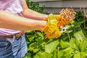Hand Pruners
