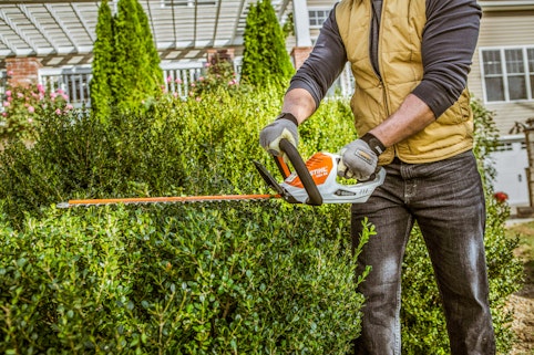 Person using STIHL HSA 45 Hedge Trimmer to trim hedge