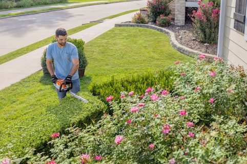 man using hedge trimmer around roses