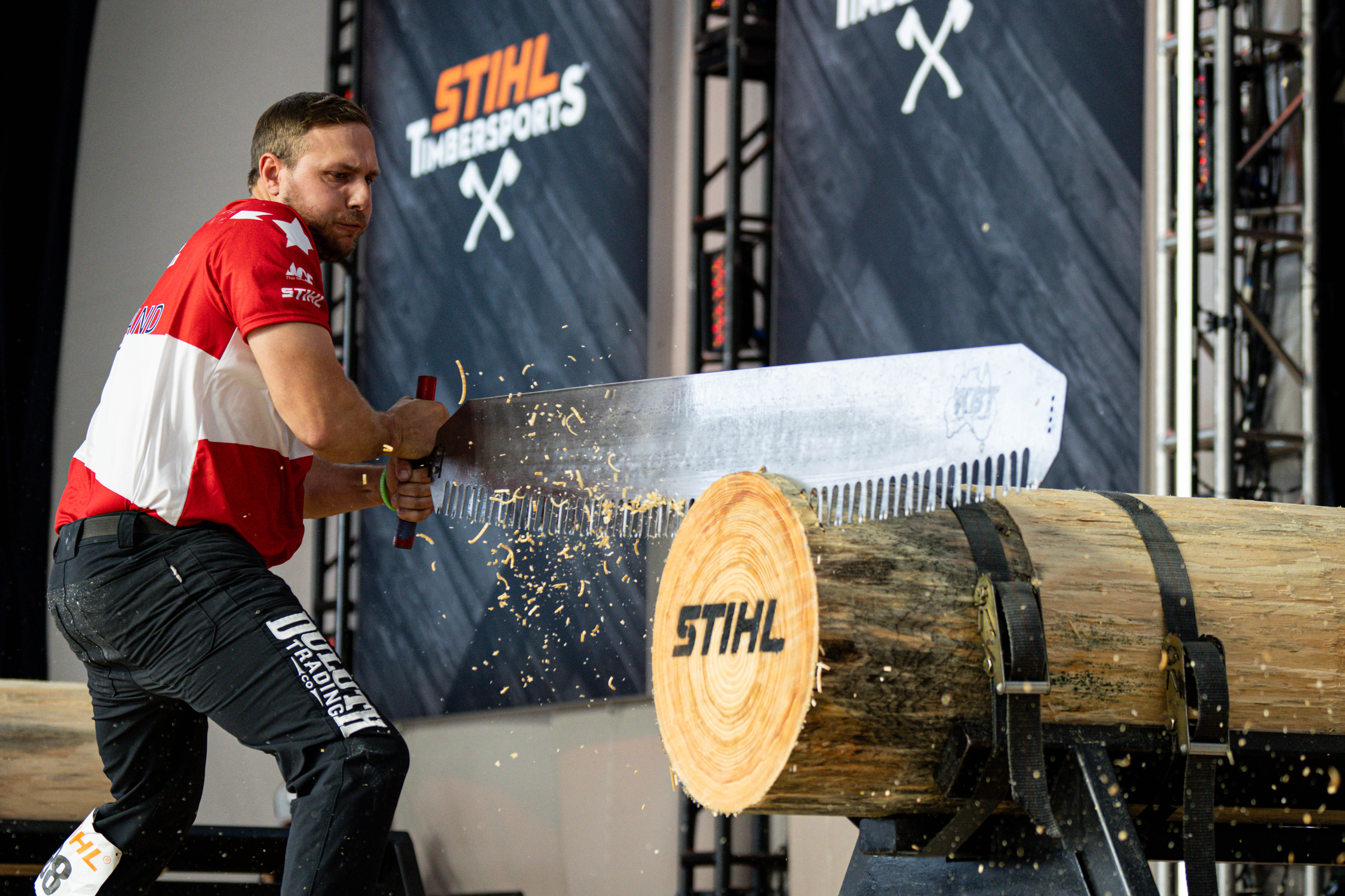 Stihl single buck saw sales