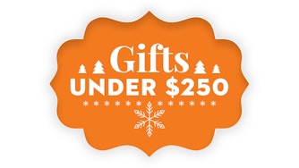 Gifts Under $250