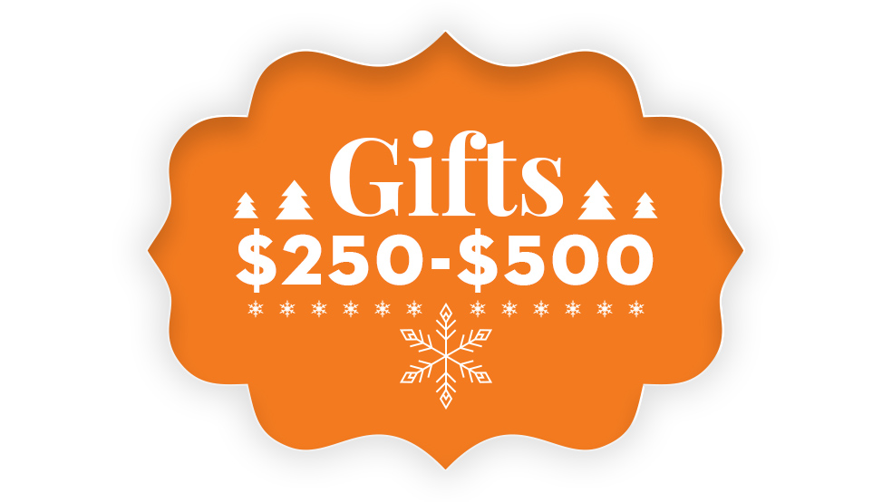 STIHL Gift Guide: Gifts For Every Occasion | STIHL USA