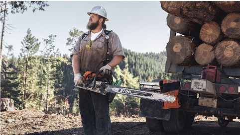 Logger holds STIHL MS 661 C-M MAGNUM® chainsaw