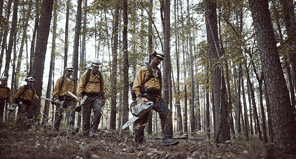 Wildland firefighters walk through forest with lightweight gear and tools including STIHL chainsaws