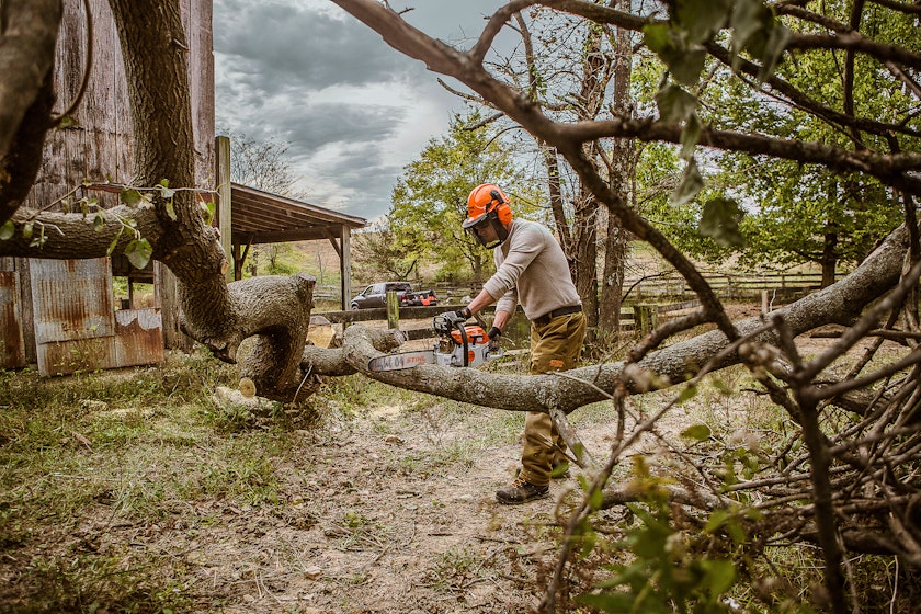 Man using STIHL MS 261 C-M chainsaw cutting fallen tree